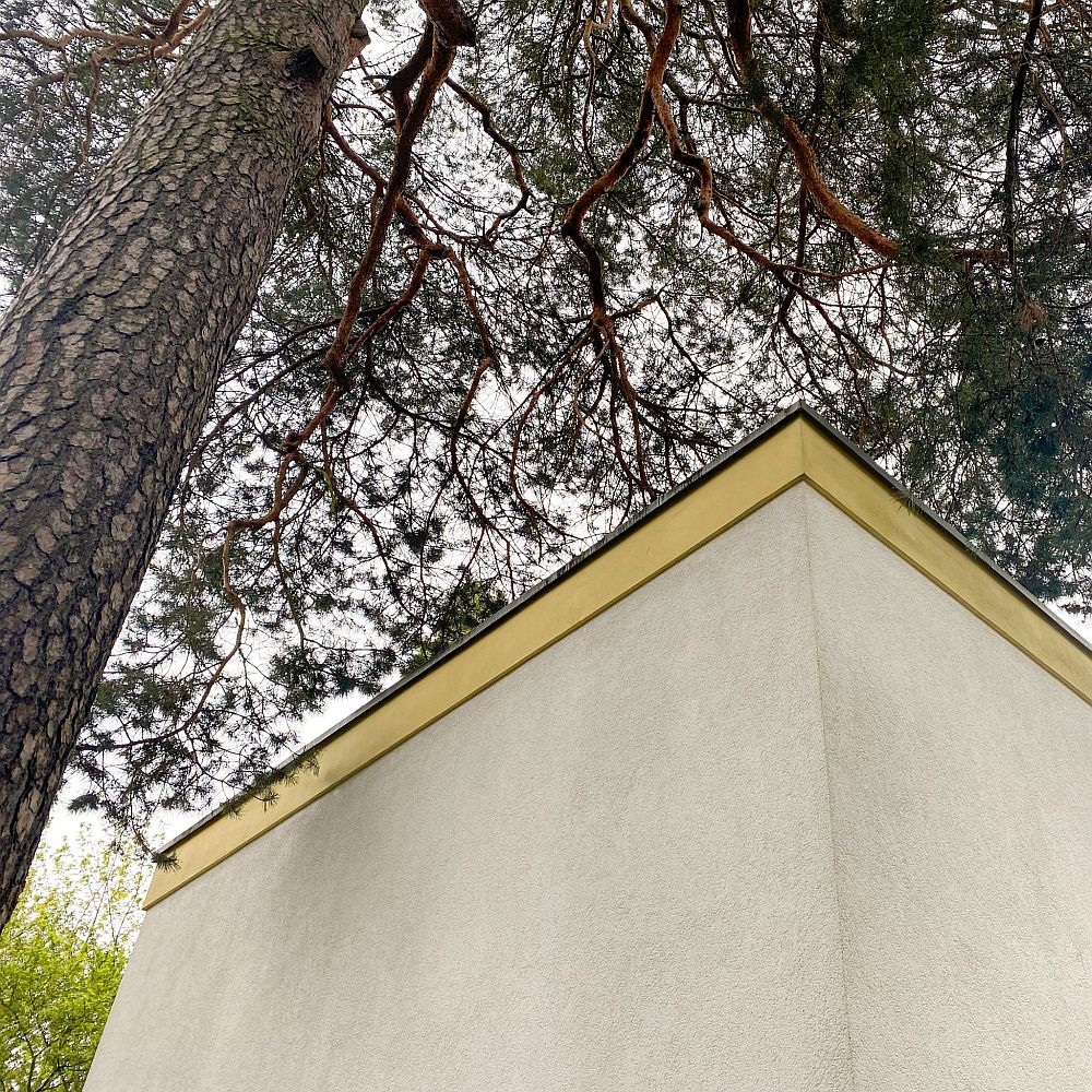 Konfliktlösung Baum / Dach, Berlin 2022.
