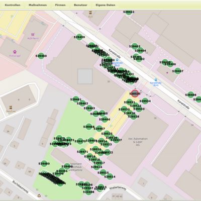 Erfassung Einzelbaum-Datensatz, Berlin 2024.